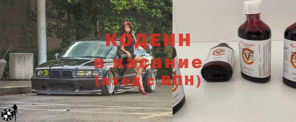 гидра Бородино