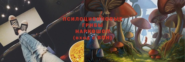 гидра Бородино