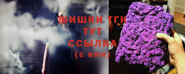 гидра Бородино