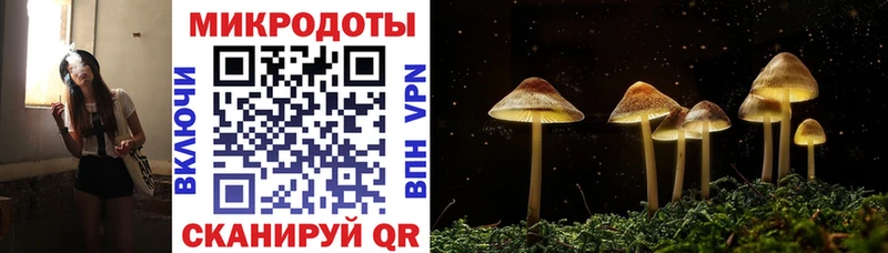 OMG зеркало Рузаевка Псилоцибиновые грибы Cubensis