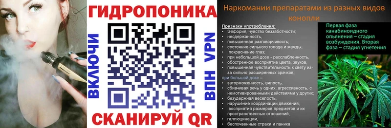 Бошки Шишки марихуана Рузаевка
